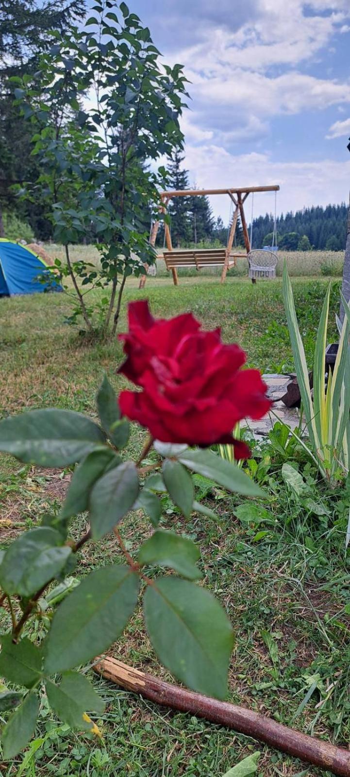 Eco Village Podgora Household Kaljevic 자블야크 외부 사진
